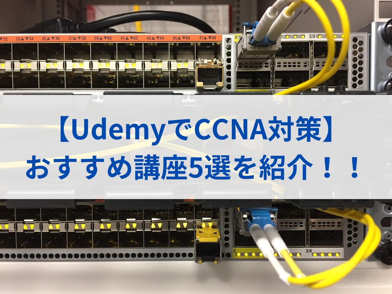 【UdemyでCCNA対策】おすすめ講座5選を紹介！！